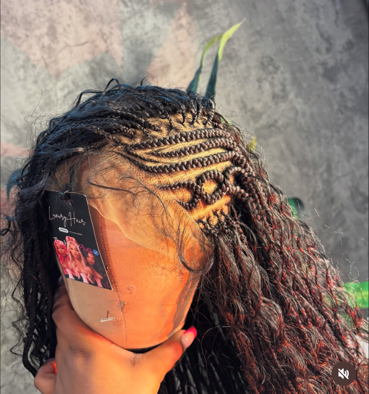 Braided Wigs